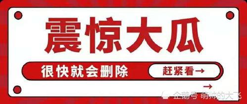 娱乐圈吃瓜八卦汇总,揭秘明星幕后故事与热点八卦